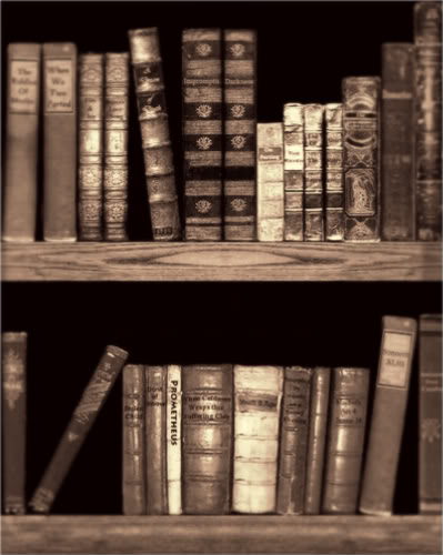244243341 c542282f79-11