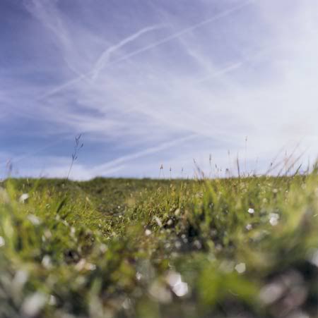 FG16 Contrails1