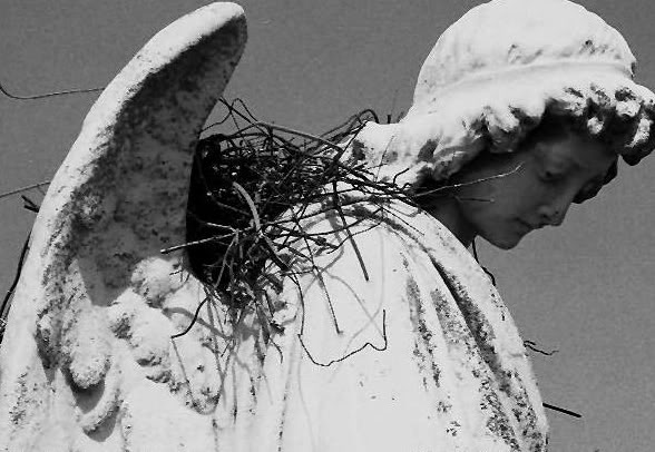 angel21