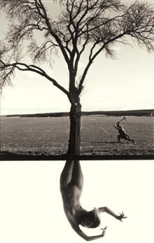 arid-11