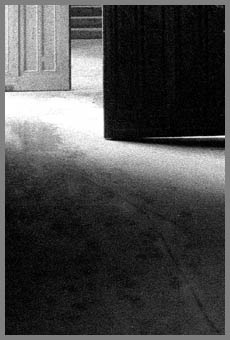 door1