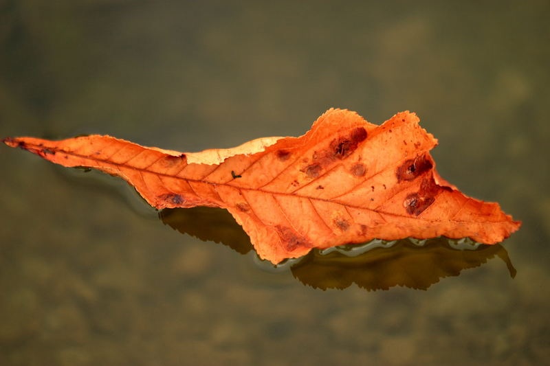 october