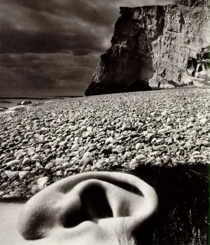 brandt east sussex coast1