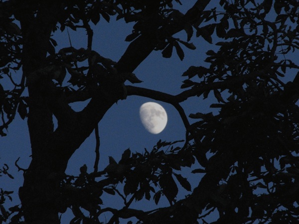 moon1