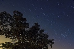 The Future Behind Us