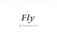 Fly