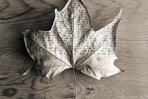Autumn Day