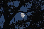 To the Moon